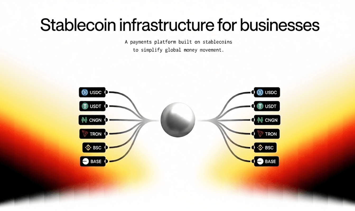 Stablecoin infrastructure for businesses